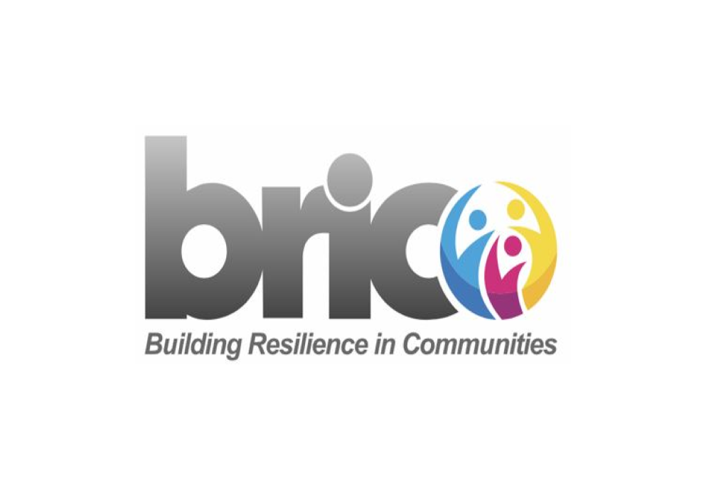 BRIC Logo