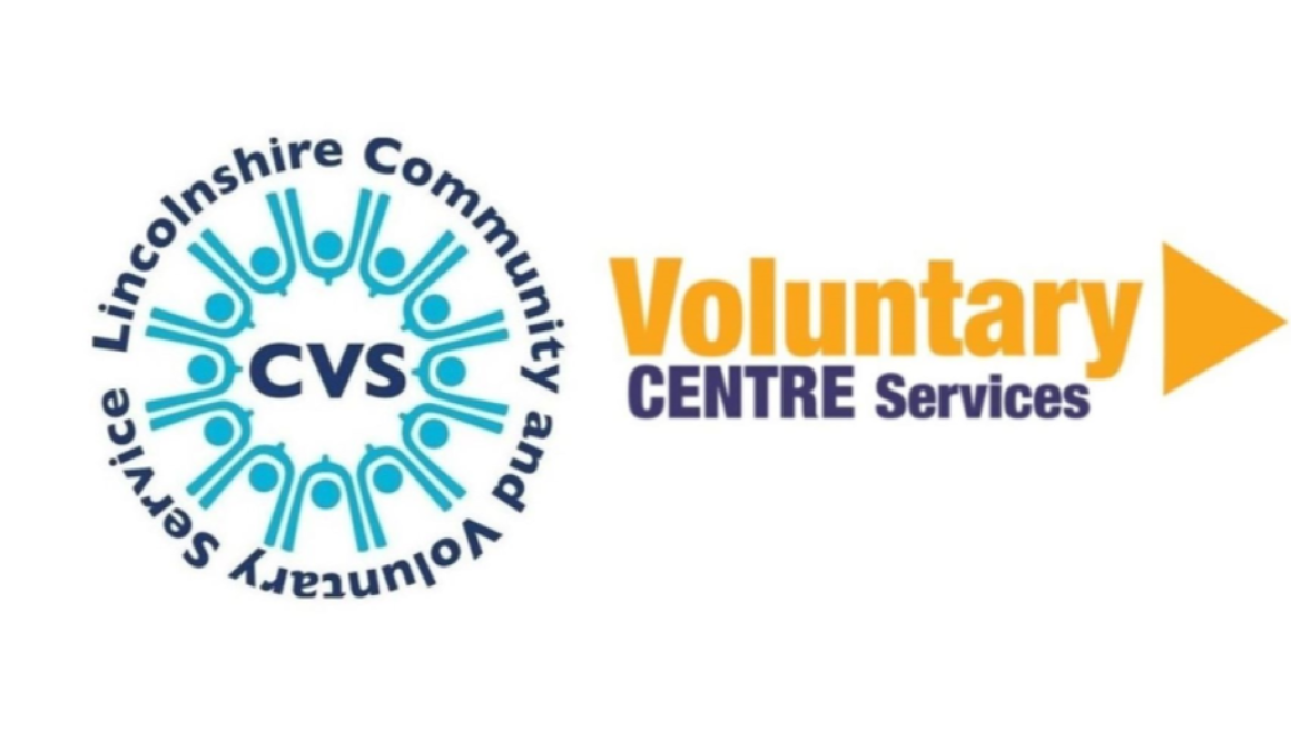 LCVS and VCS logos