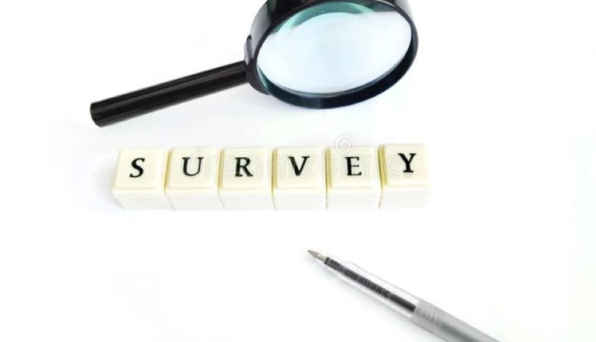 survey 2