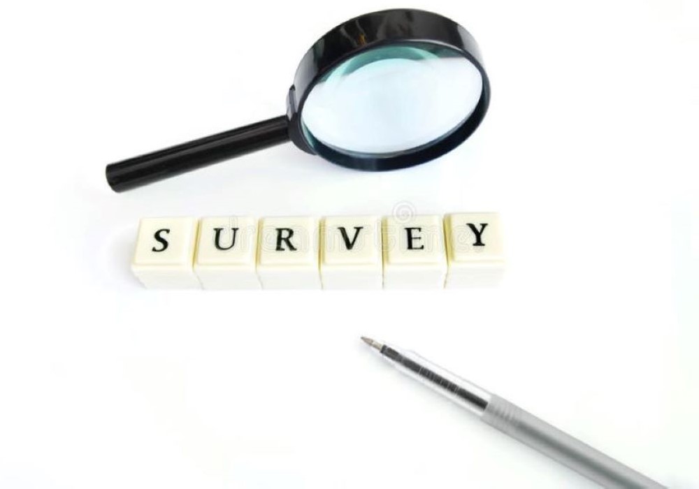 survey 2