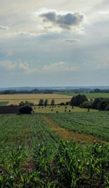 smiljana-peters-0lr3tn2uVQg-unsplash